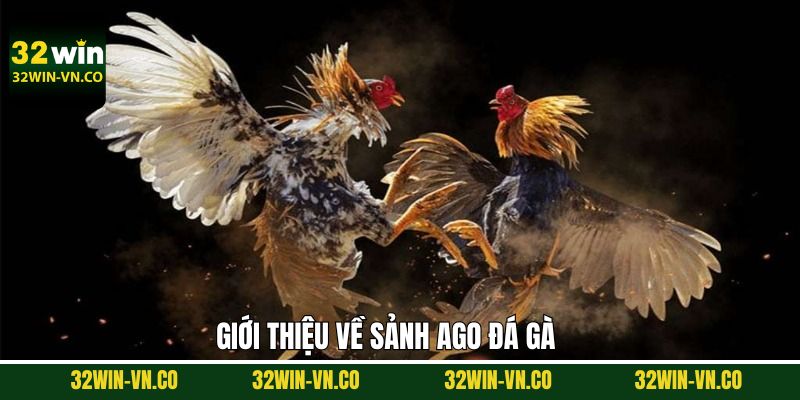 AGO Đá Gà - Sảnh Đấu Chọi Gà Đỉnh Cao Tại 32Win 2 Thông tin hữu ích về AGO đá gà