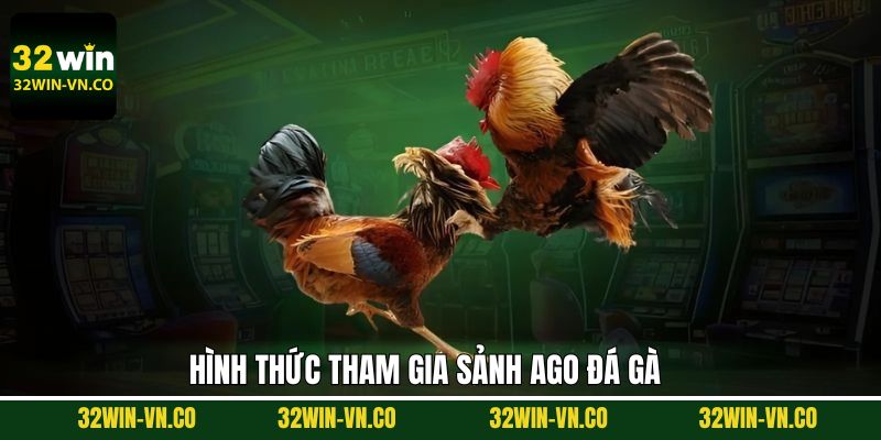 AGO Đá Gà - Sảnh Đấu Chọi Gà Đỉnh Cao Tại 32Win 3 Khám phá về các loại hình AGO đá gà đỉnh cao nhất 32Win