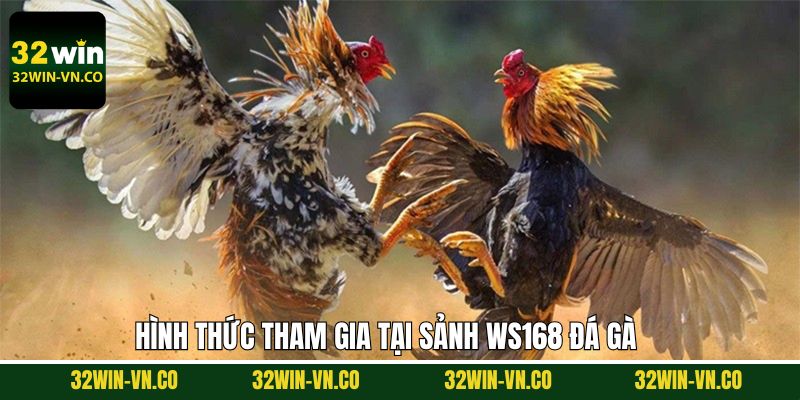 Ws168 Đá Gà - Sân Chơi Giải Trí Hấp Dẫn, Không Bỏ Lỡ 32Win 3 Khám phá hình thức đá gà Ws168 đình đám tại nền tảng 32Win