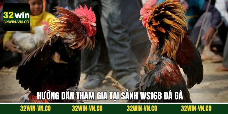 Ws168 Đá Gà - Sân Chơi Giải Trí Hấp Dẫn, Không Bỏ Lỡ 32Win 4 Hướng dẫn về thao tác khi tham gia vào sảnh Ws168 đá gà