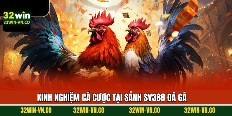SV388 Đá Gà - Trải Nghiệm Trận Chiến Đỉnh Cao, Kịch Tính 4 Bật mí mẹo hay khi tham gia vào đá gà giành thắng lớn 32Win