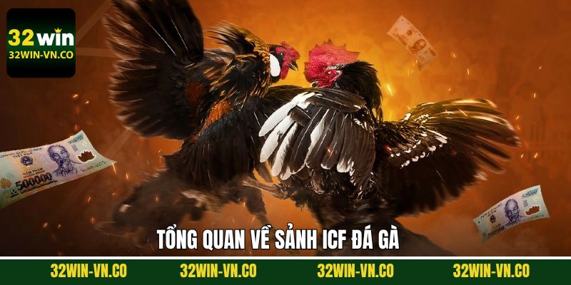 ICF Đá Gà - Trải Nghiệm Chọi Chiến Kê Dũng Mãnh Tại 32Win 2 Nét chính về sảnh ICF nổi tiếng
